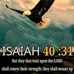 Meet your Posher, Dinah